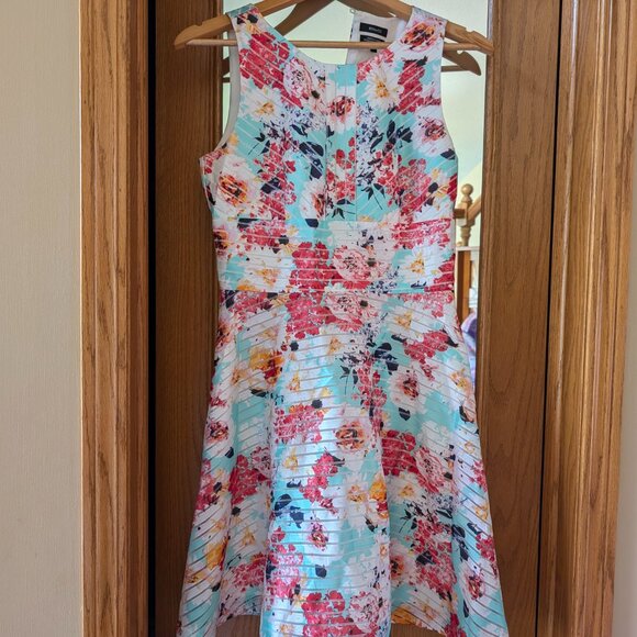 RW&CO. Fit & Flare Striped Sheer Floral Overlay Lined Dress - Picture 1 of 4